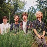 Bears In Trees Tickets