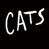 CATS Tickets