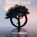 Deep Forest Tickets