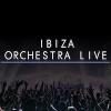 Ibiza Orchestra Experience Tickets