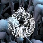 Liverpool Psych Fest