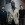 click for Animals As Leaders tickets