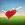 click for Belladrum tickets