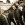 click for Biohazard tickets