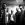 click for Fiddlehead tickets