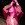 click for Hayley Williams tickets