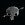 click for Shakey Graves tickets
