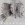 click for Sigur Ros tickets