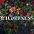 Wilderness Festival Tickets