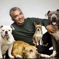 Cesar Millan Tickets