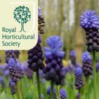 Chelsea Flower Show Tickets