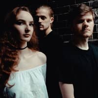 Exploring Birdsong Tickets