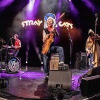 Stray Cats Tickets