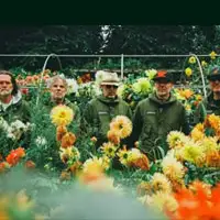 Super Furry Animals tour dates and tickets