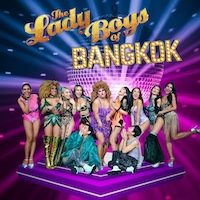 La Voix Tickets | Tour & Concerts 2025/2026 - Stereoboard
