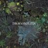Dragonflies