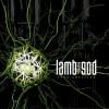 Lamb Of God